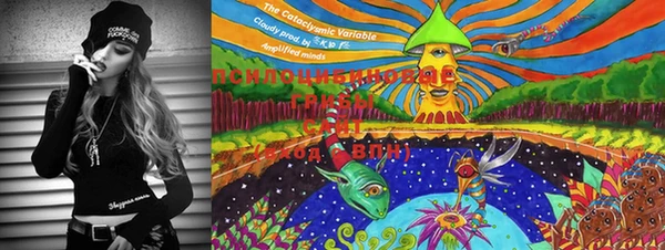 спиды Надым