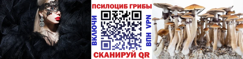 Псилоцибиновые грибы GOLDEN TEACHER  Купить где  Стерлитамак 